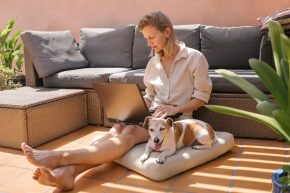 , Top pet-friendly patio ideas for your outdoor space