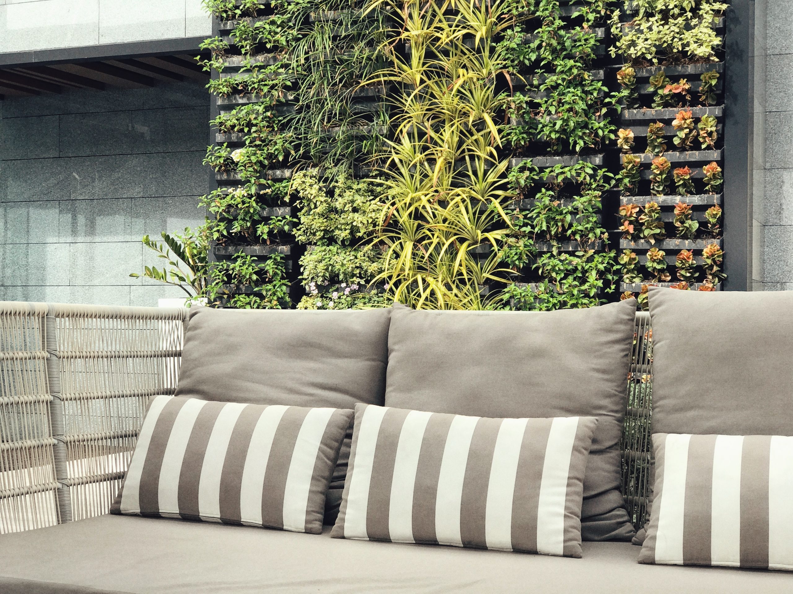 , Best Low Maintenance Patio Plants for Melbourne