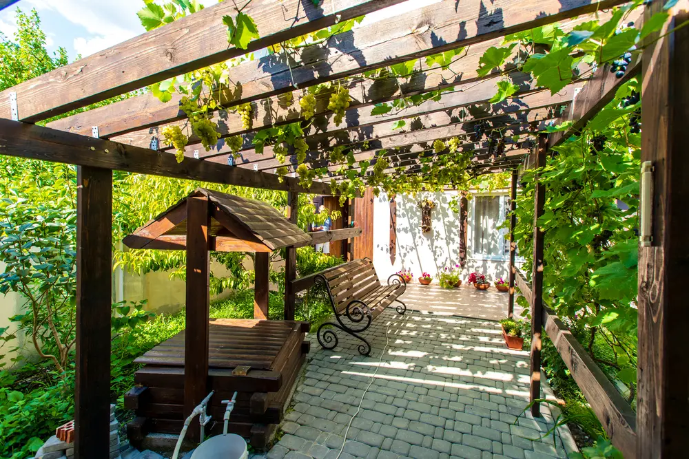 , How to create some privacy in your outdoor space