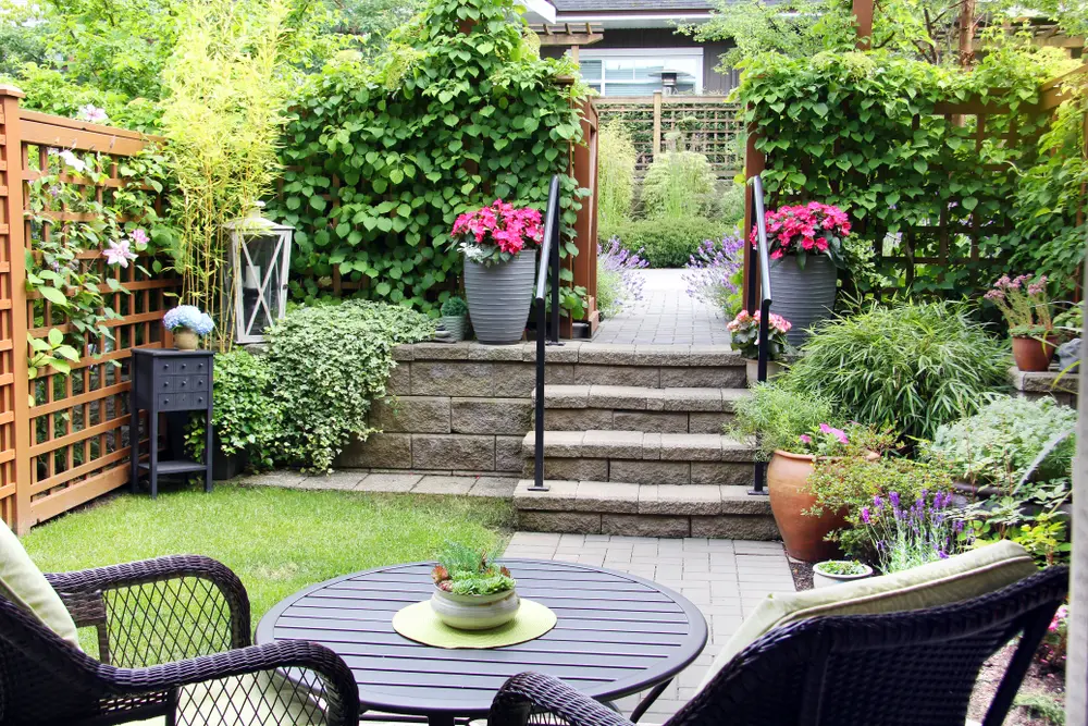 , How to create some privacy in your outdoor space