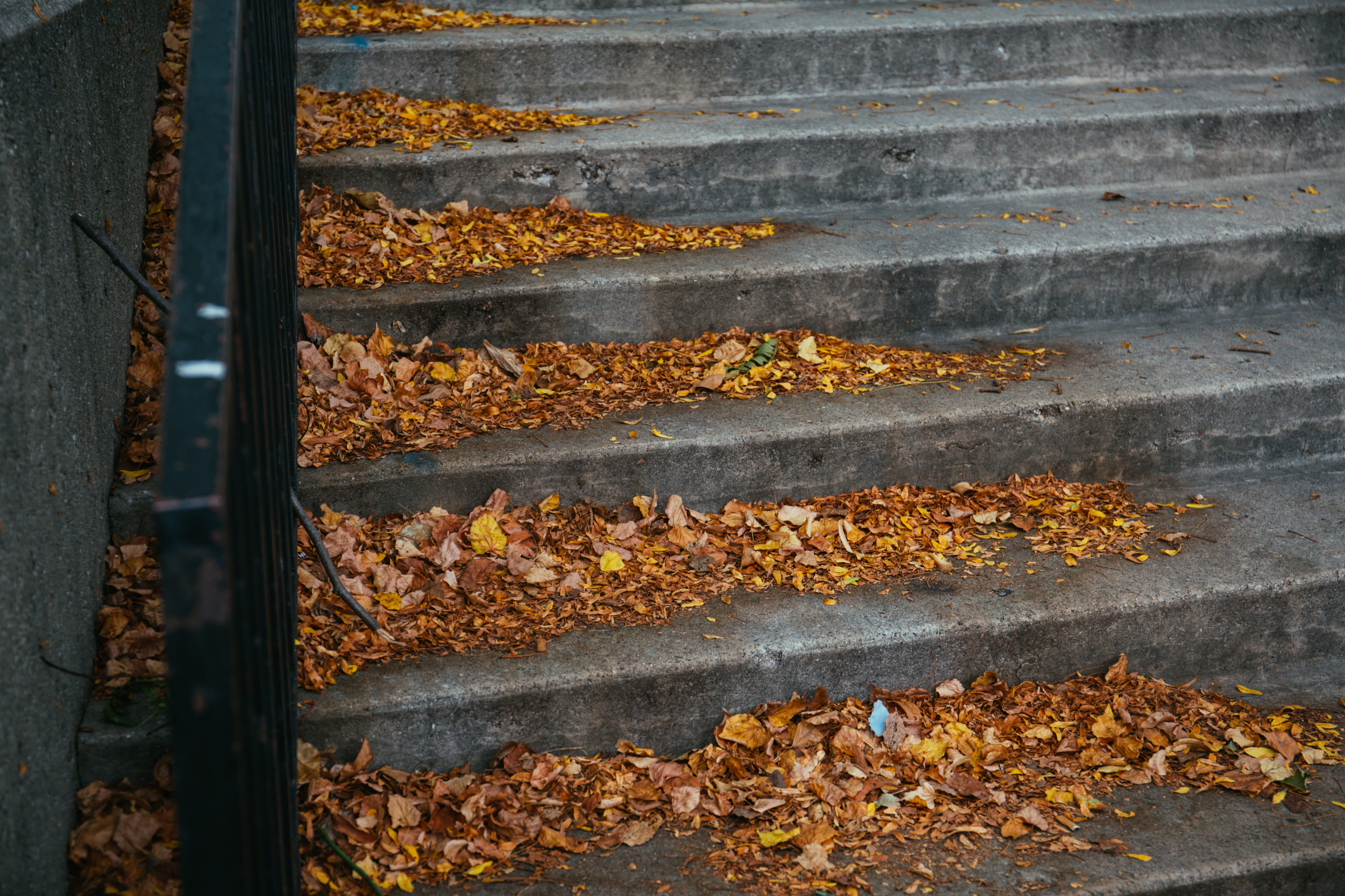 , Backyard Maintenance Tips For Every Season in Melbourne
