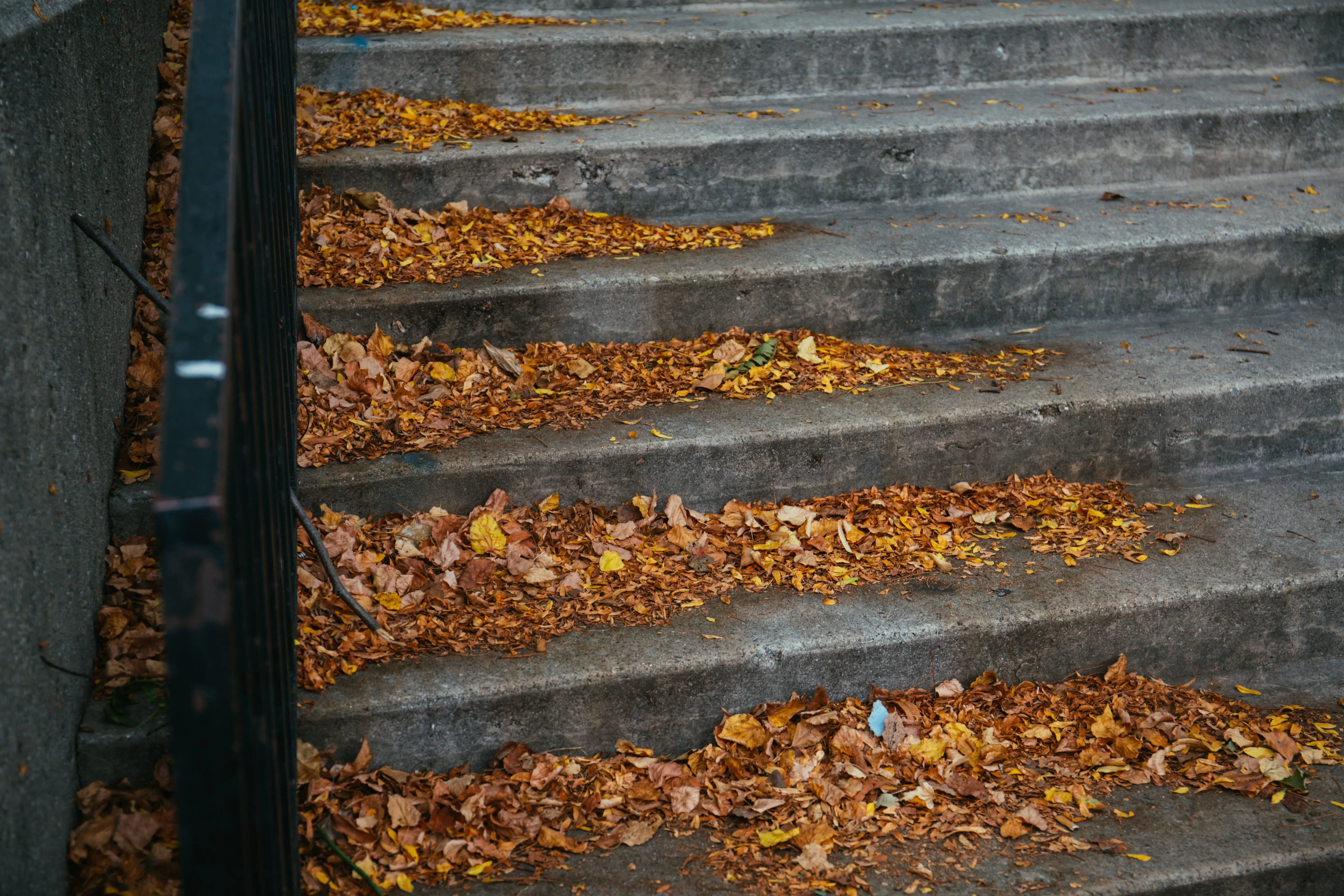 , Backyard Maintenance Tips For Every Season in Melbourne