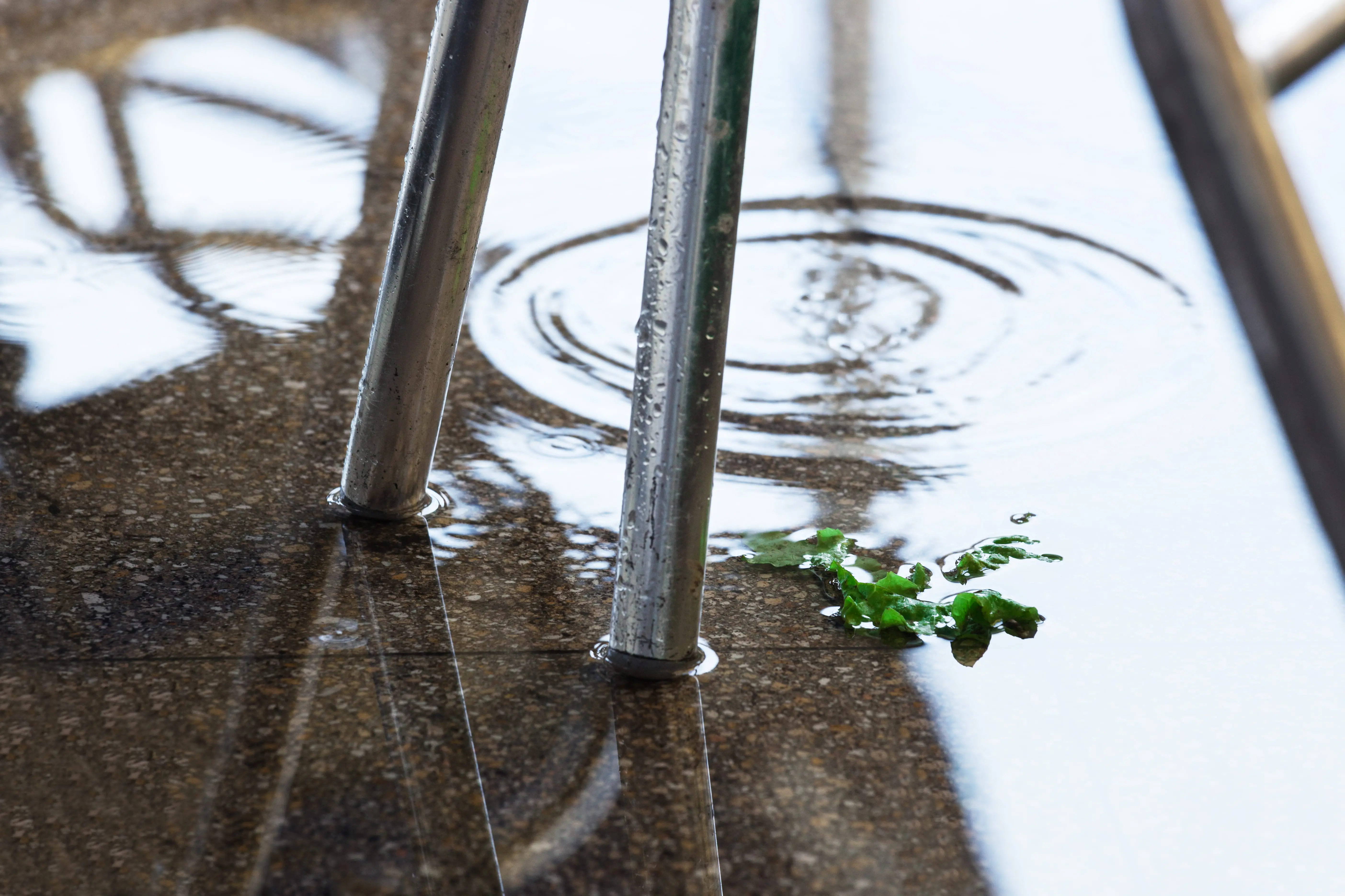 , Backyard Maintenance Tips For Every Season in Melbourne
