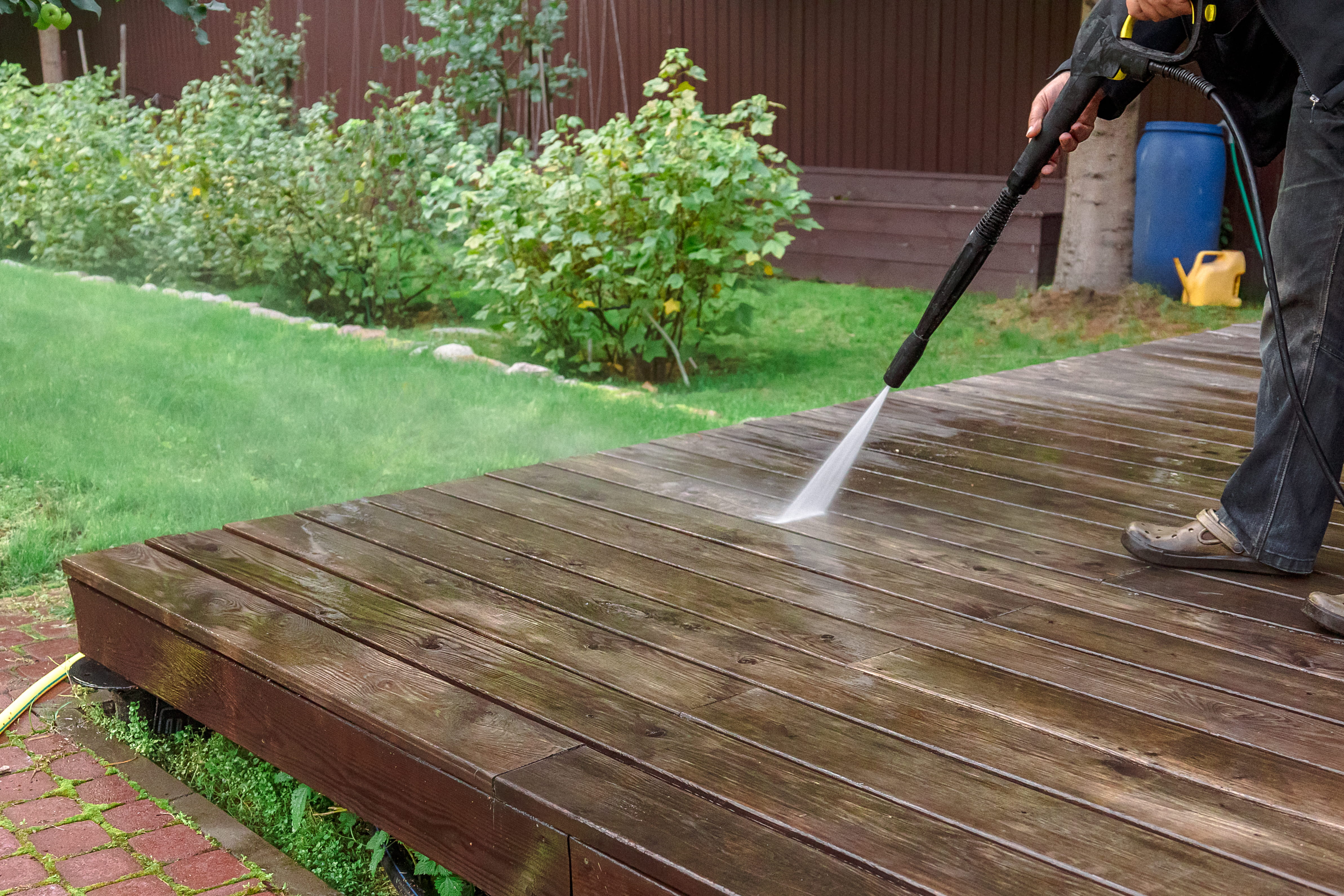 , Backyard Maintenance Tips For Every Season in Melbourne
