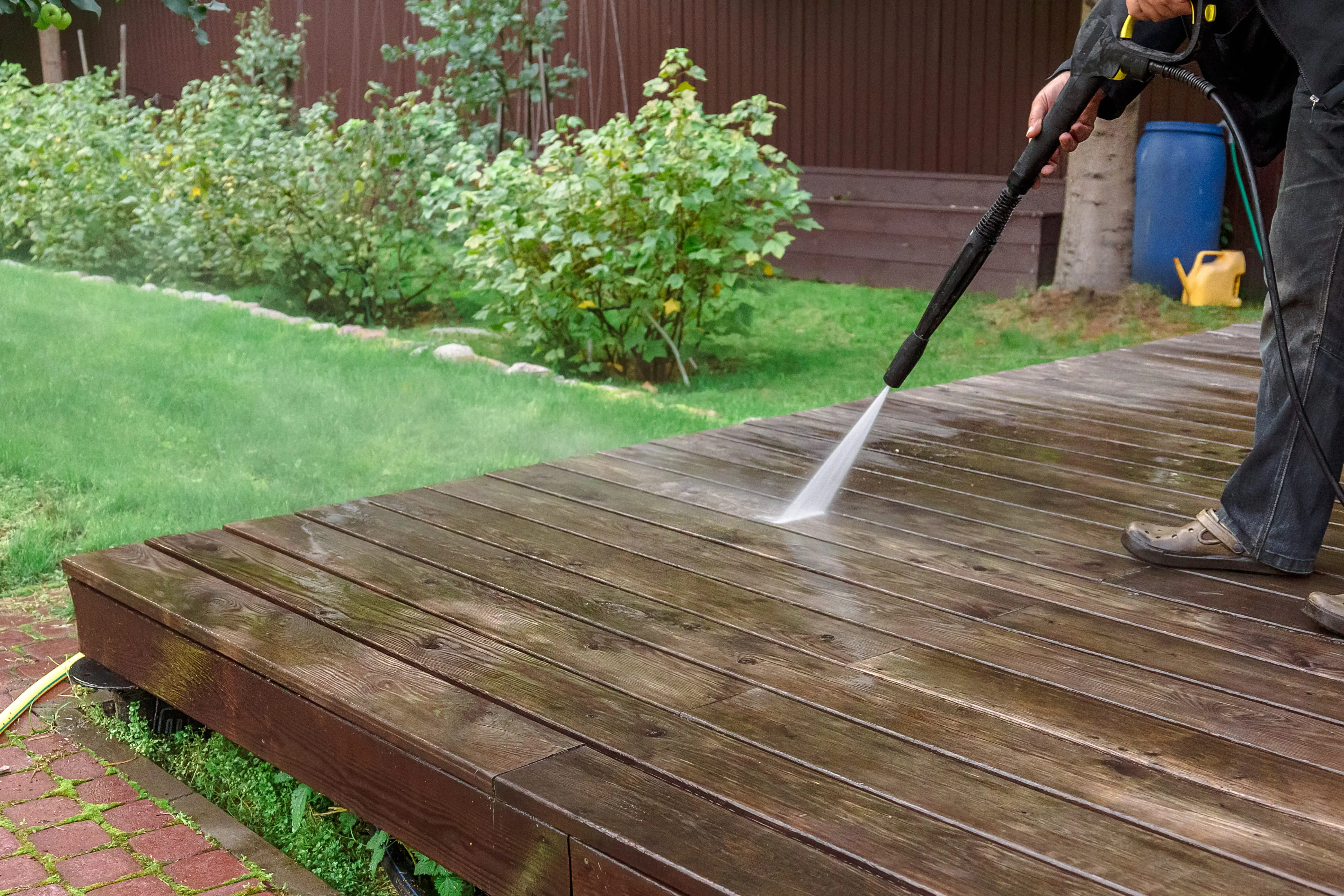 , Backyard Maintenance Tips For Every Season in Melbourne